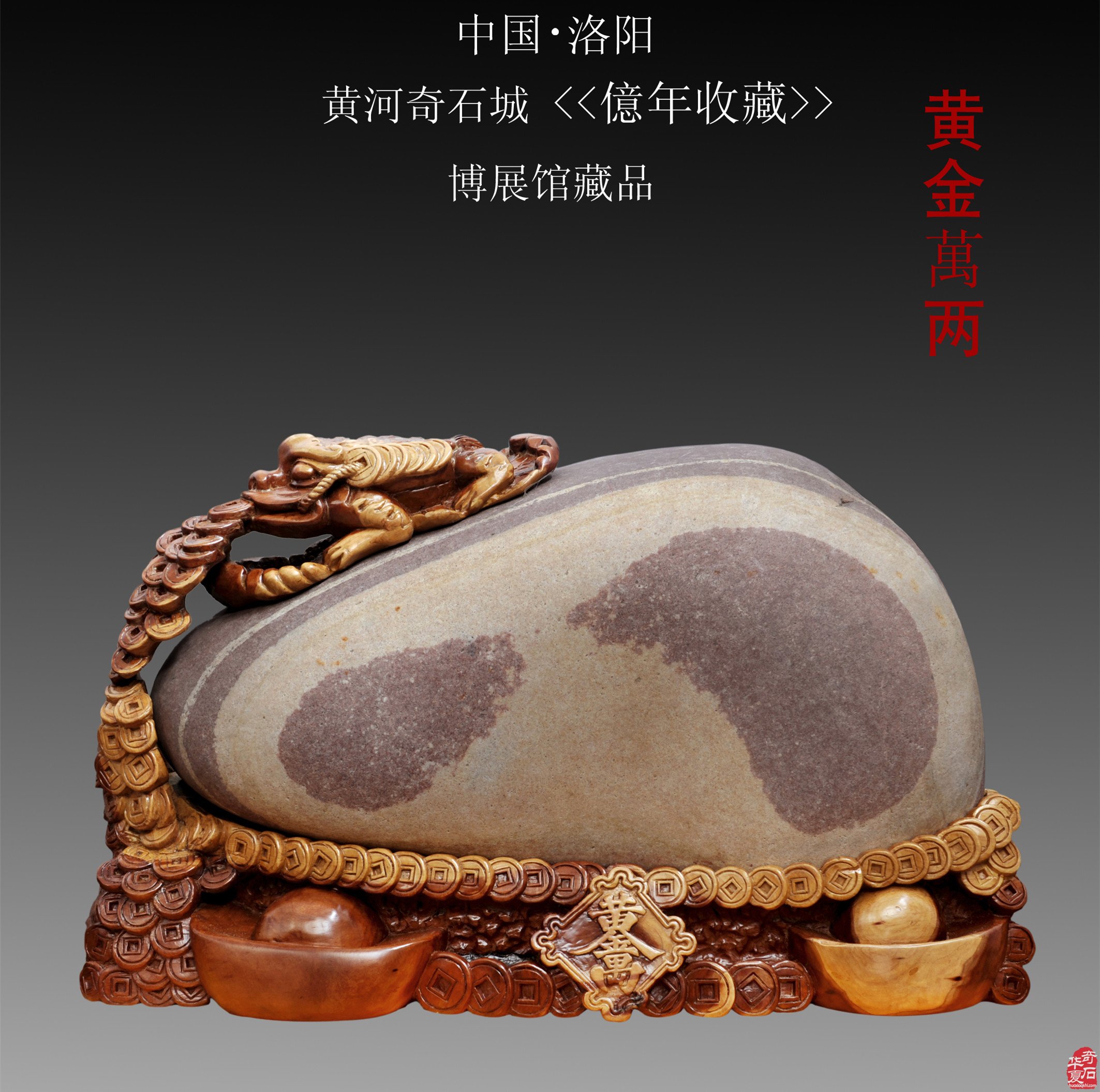 喜庆中国洛阳赏石文化活动万里行一周年