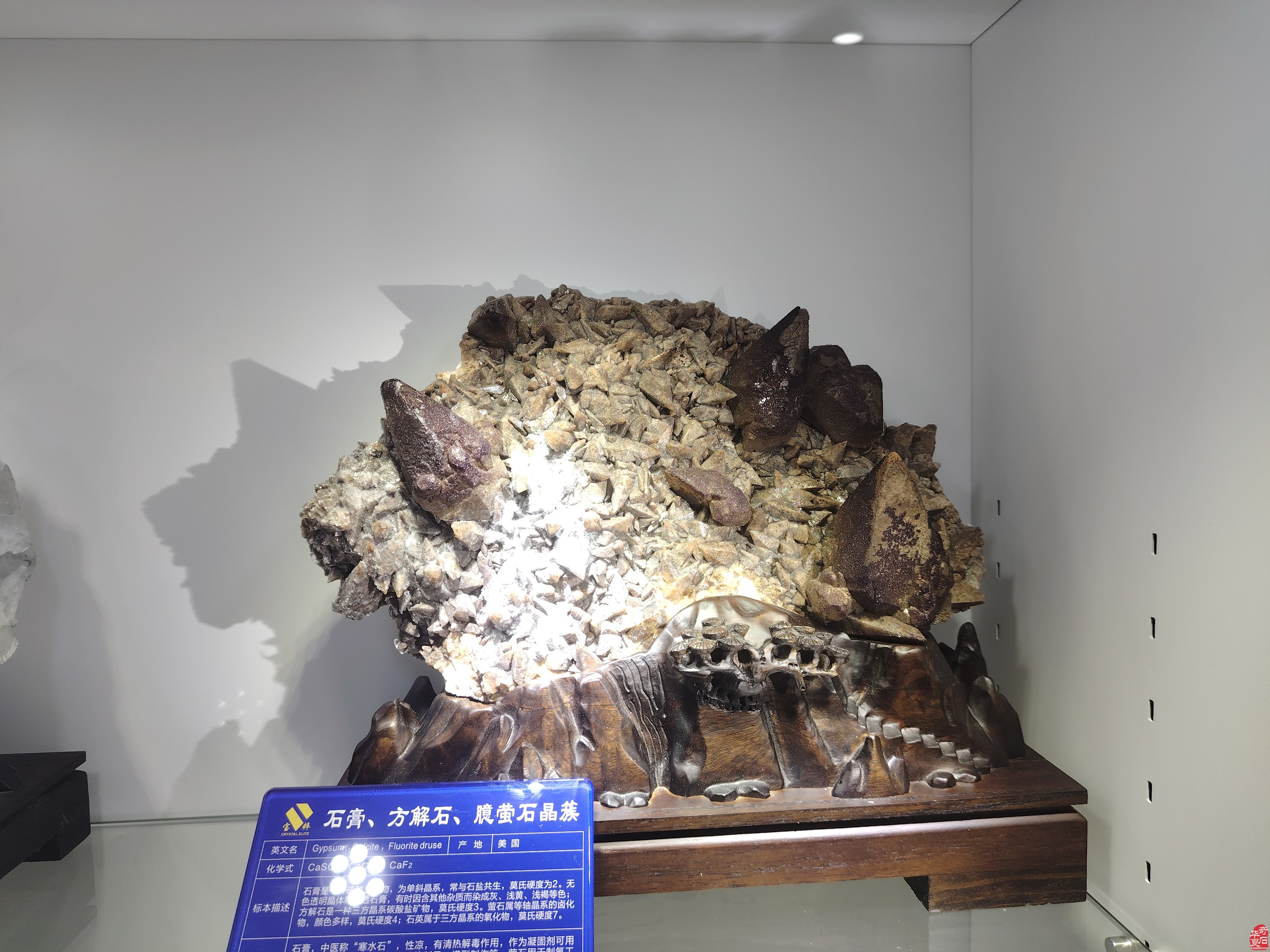 旺鼎石文化博览园·汉魏文玩区盛大开业庆典