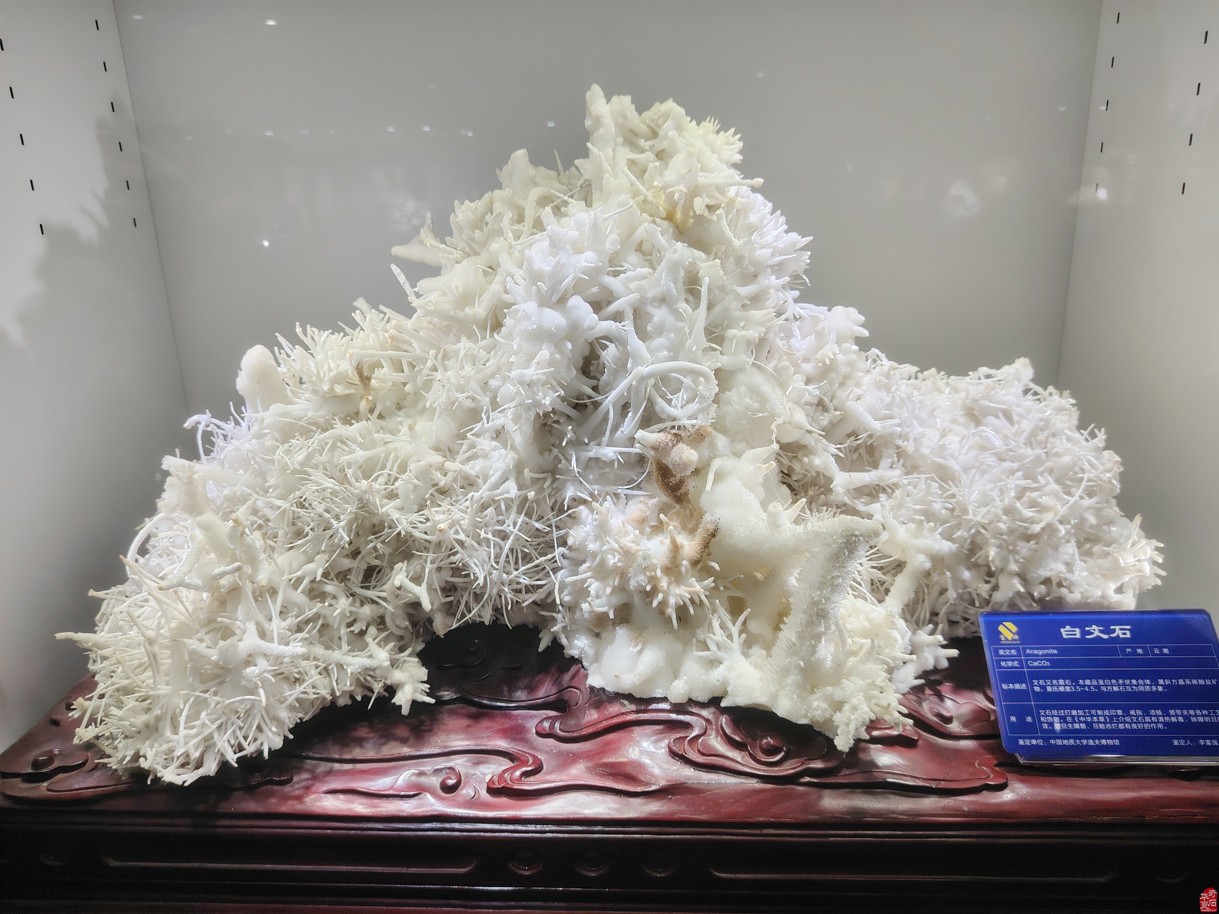 旺鼎石文化博览园·汉魏文玩区盛大开业庆典