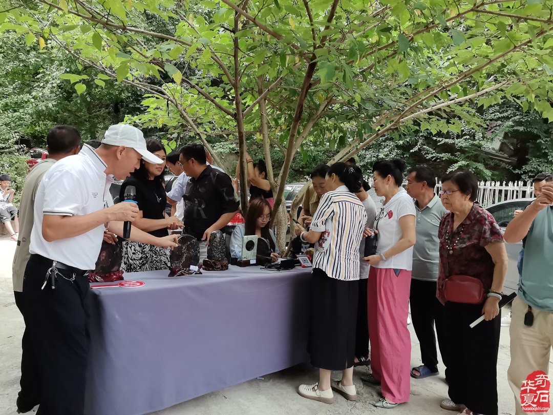 洛阳石界全国第十三个赏石日举办丰富多彩的活动