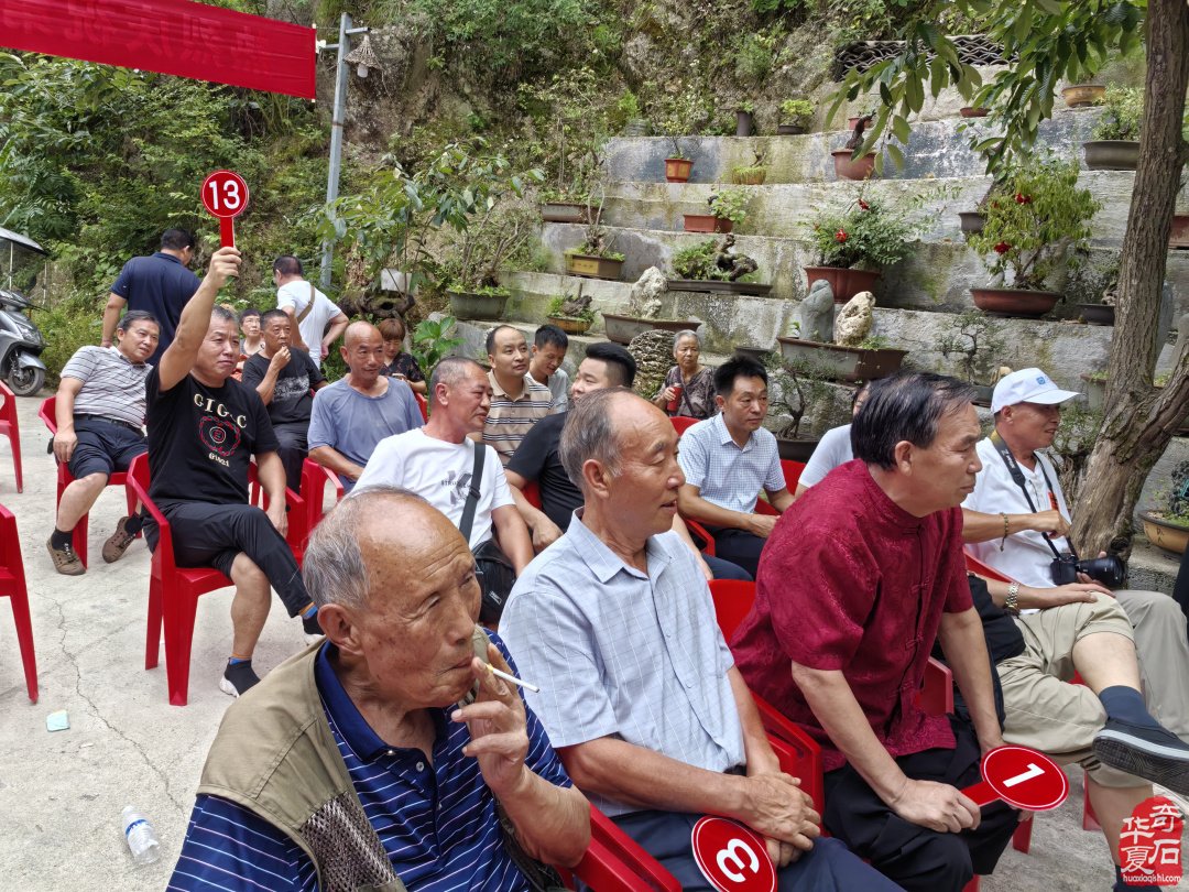 洛阳石界全国第十三个赏石日举办丰富多彩的活动