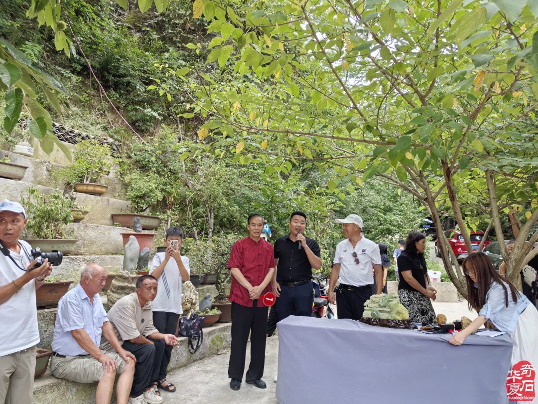 洛阳石界全国第十三个赏石日举办丰富多彩的活动