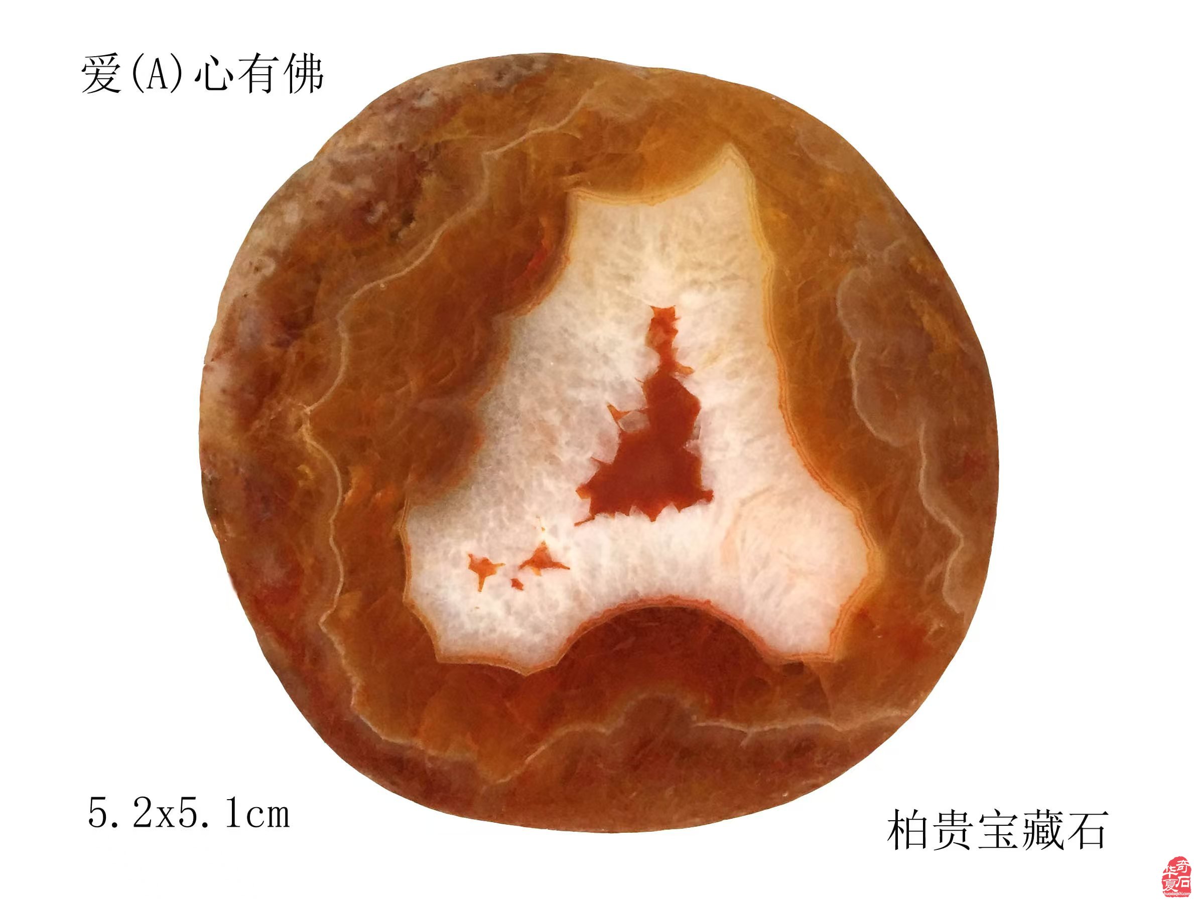 庆祝南京雨花石协会成立四十周年