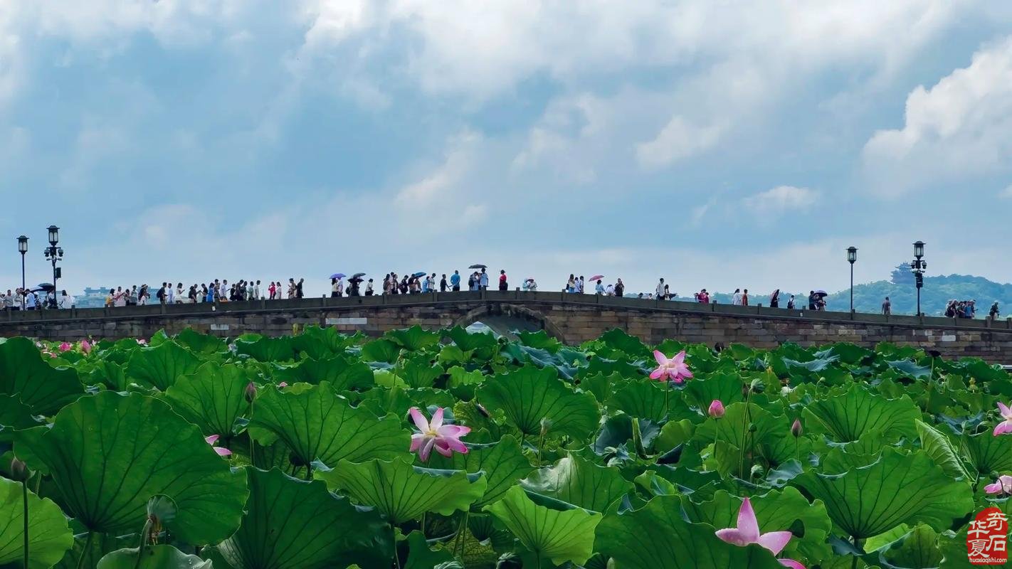 国庆长假哪里去 杭州赏石文化艺术节首选地