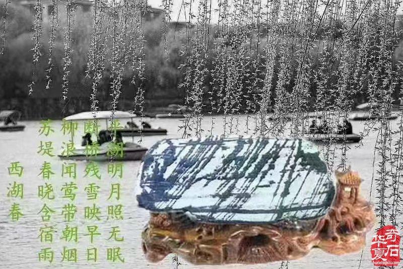 你准备好了吗 我们在西藏拉萨首届赏石文化博览会等你