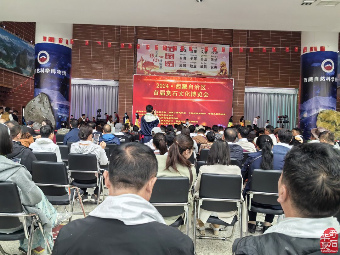 2024西藏自治区首届赏石文化博览会盛大开幕