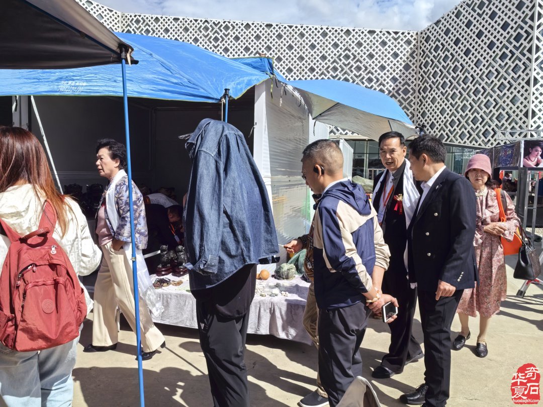 2024西藏自治区首届赏石文化博览会盛大开幕