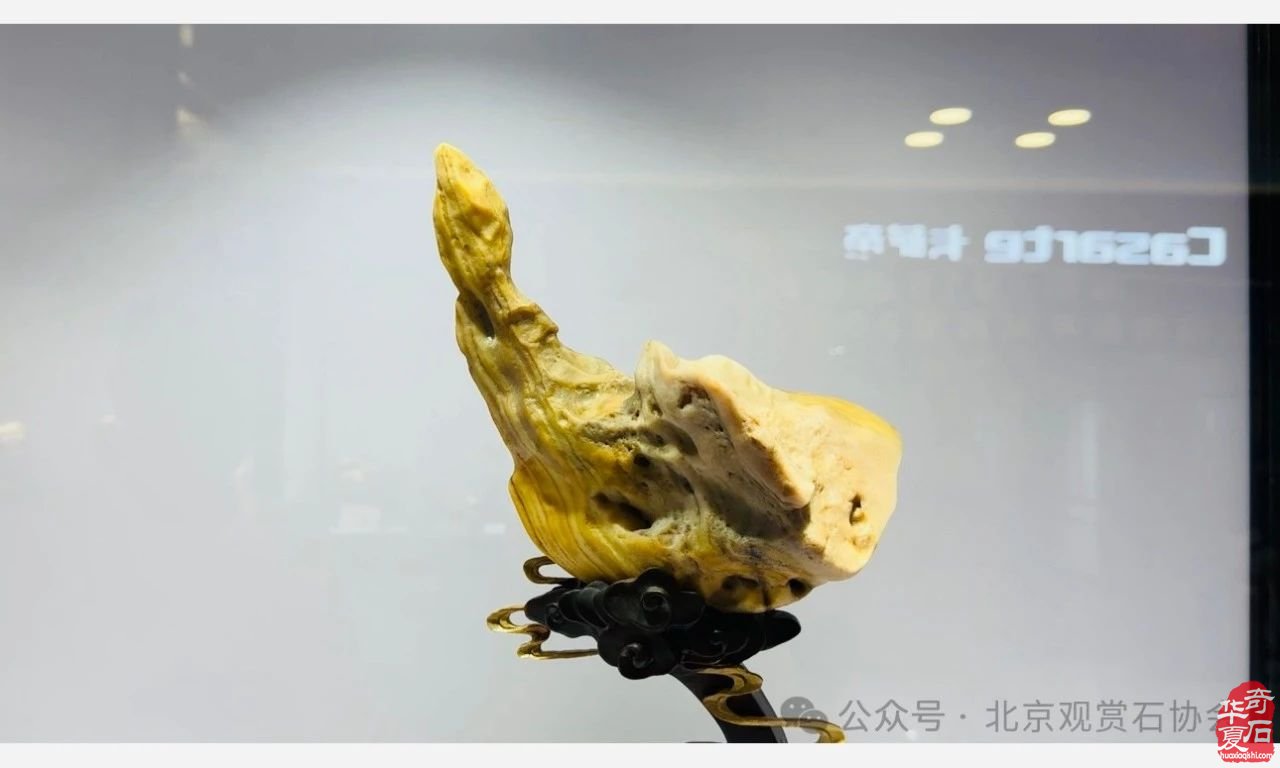 巴彦淖尔观赏石珠宝玉石文化旅游博览会盛大开幕