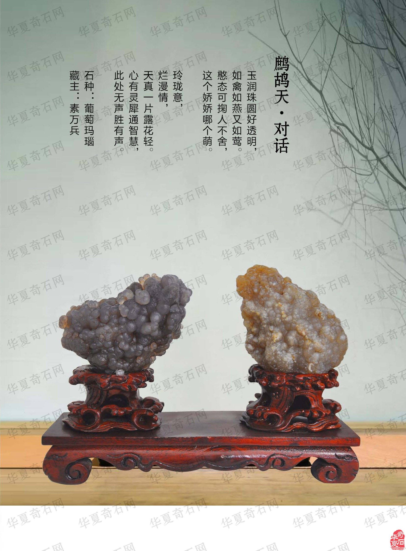 《于公赏石》上看石界大咖秦万兵如何作为