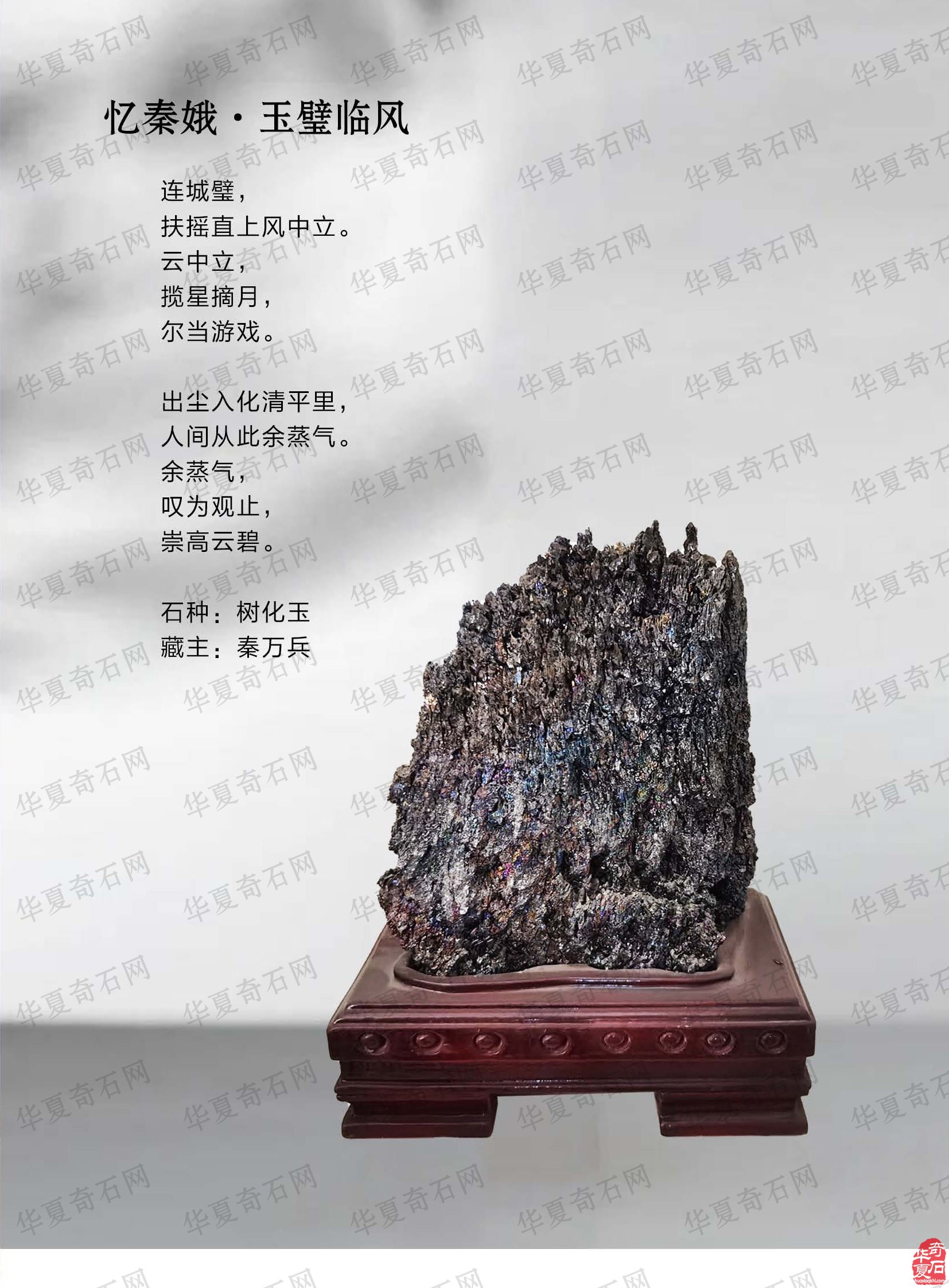 《于公赏石》上看石界大咖秦万兵如何作为