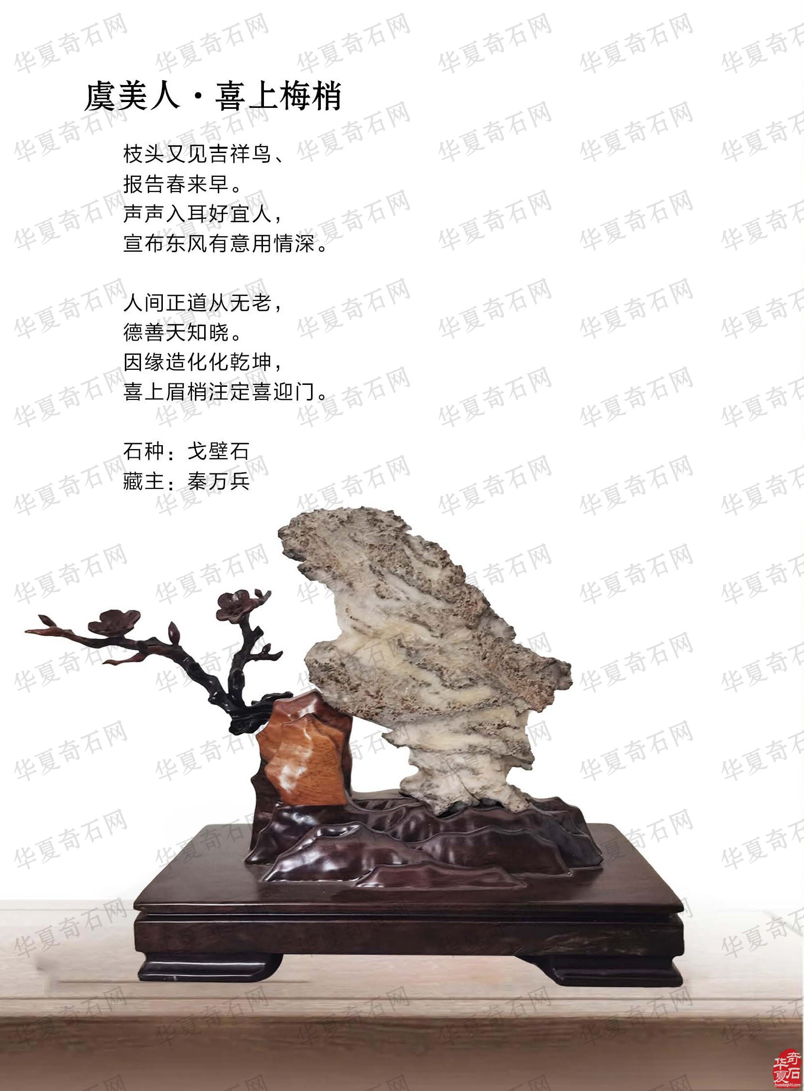 《于公赏石》上看石界大咖秦万兵如何作为