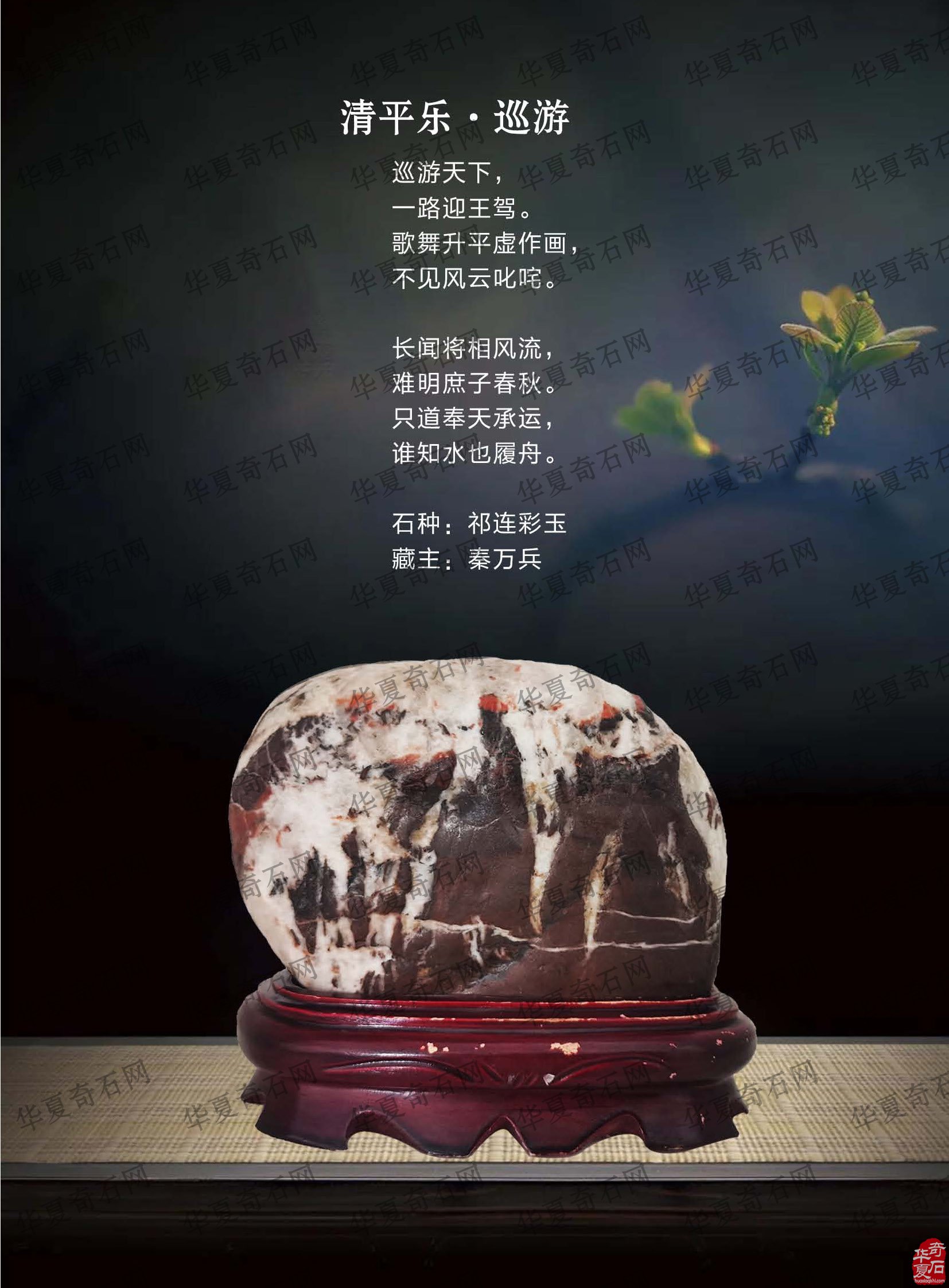 看王沛老师在《于公赏石》怎么说赏石文化看酒泉