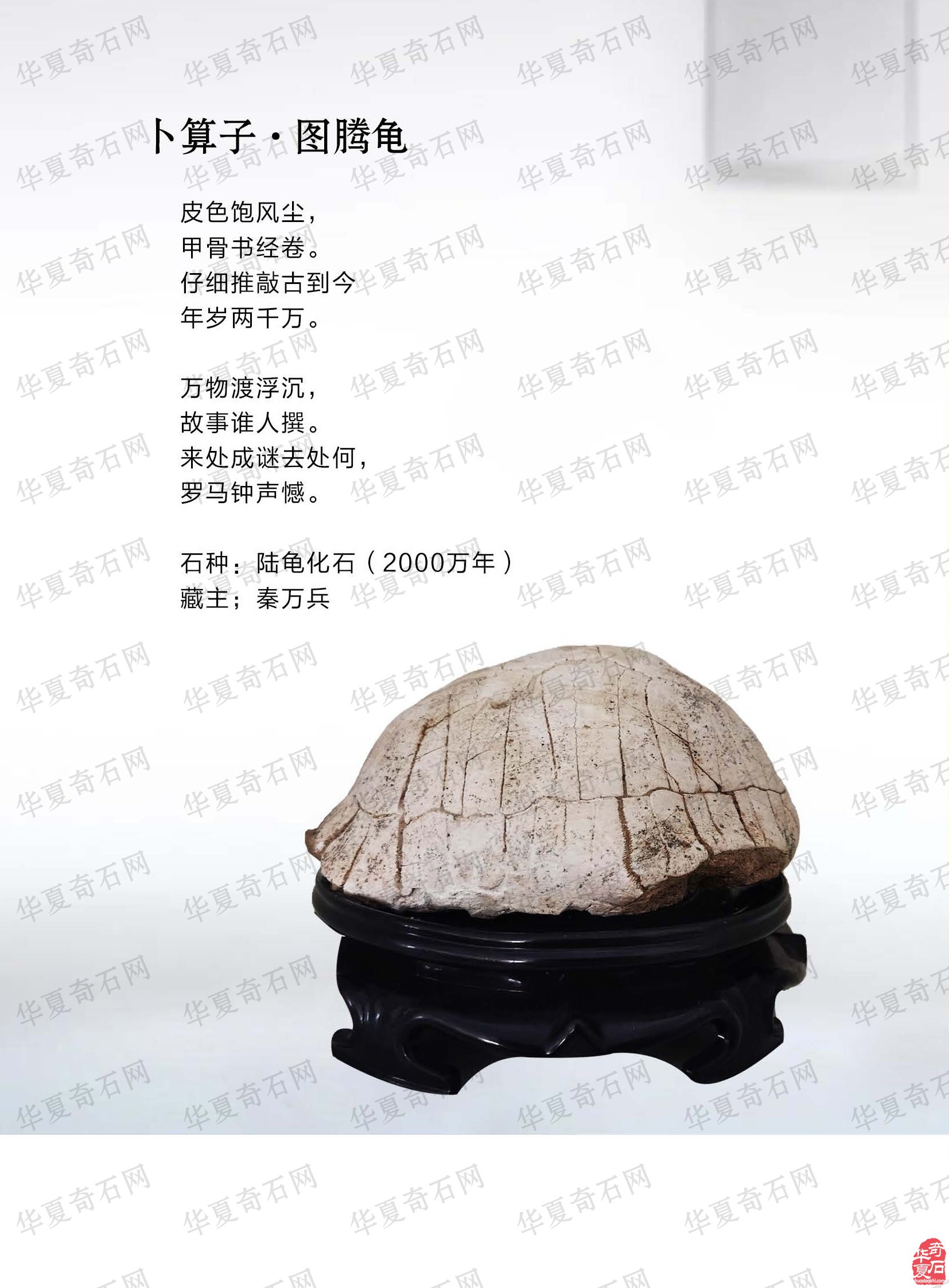 看王沛老师在《于公赏石》怎么说赏石文化看酒泉
