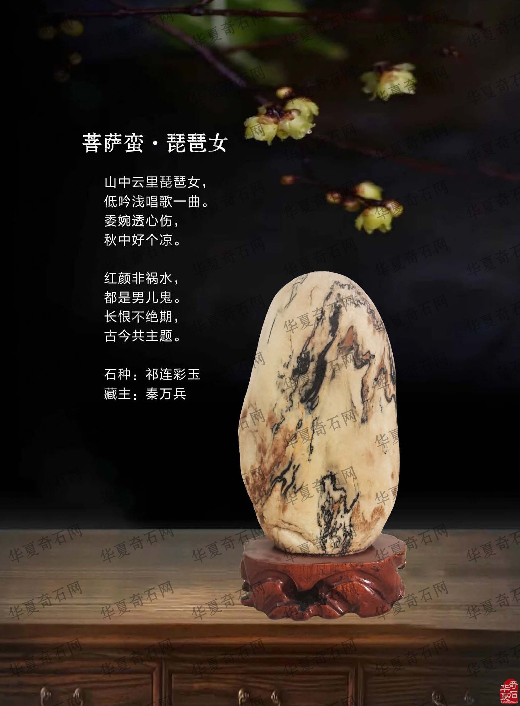 看王沛老师在《于公赏石》怎么说赏石文化看酒泉
