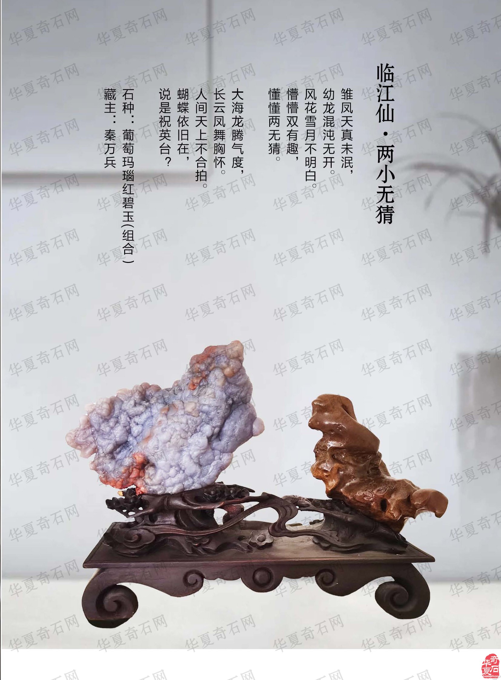 看王沛老师在《于公赏石》怎么说赏石文化看酒泉