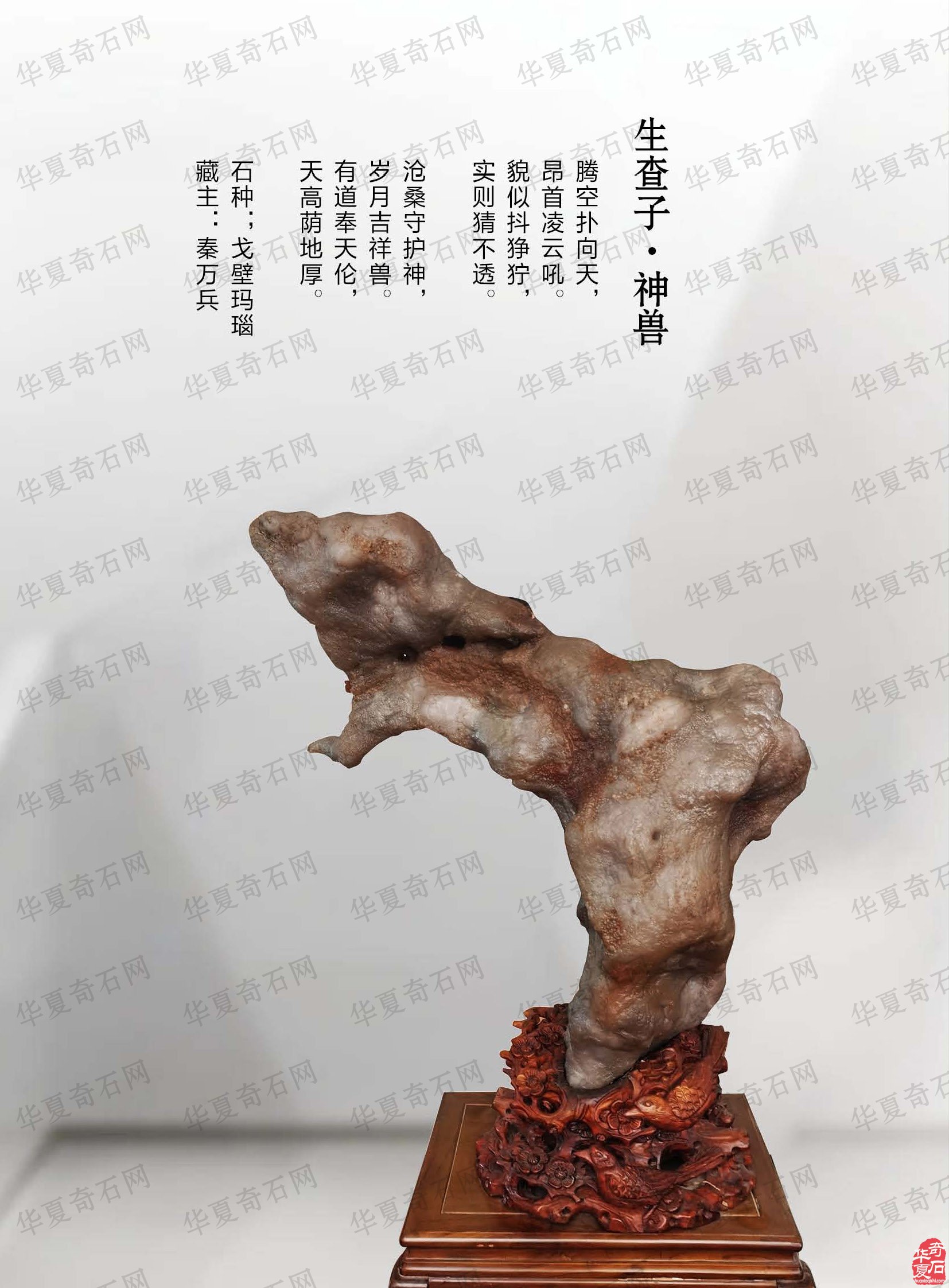 看王沛老师在《于公赏石》怎么说赏石文化看酒泉