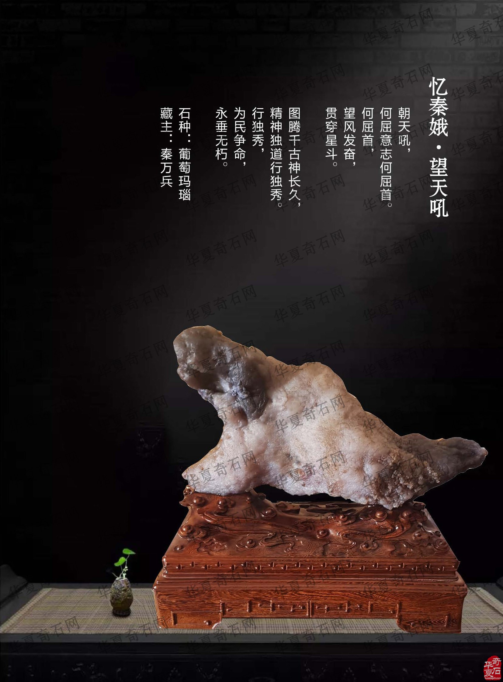看王沛老师在《于公赏石》怎么说赏石文化看酒泉