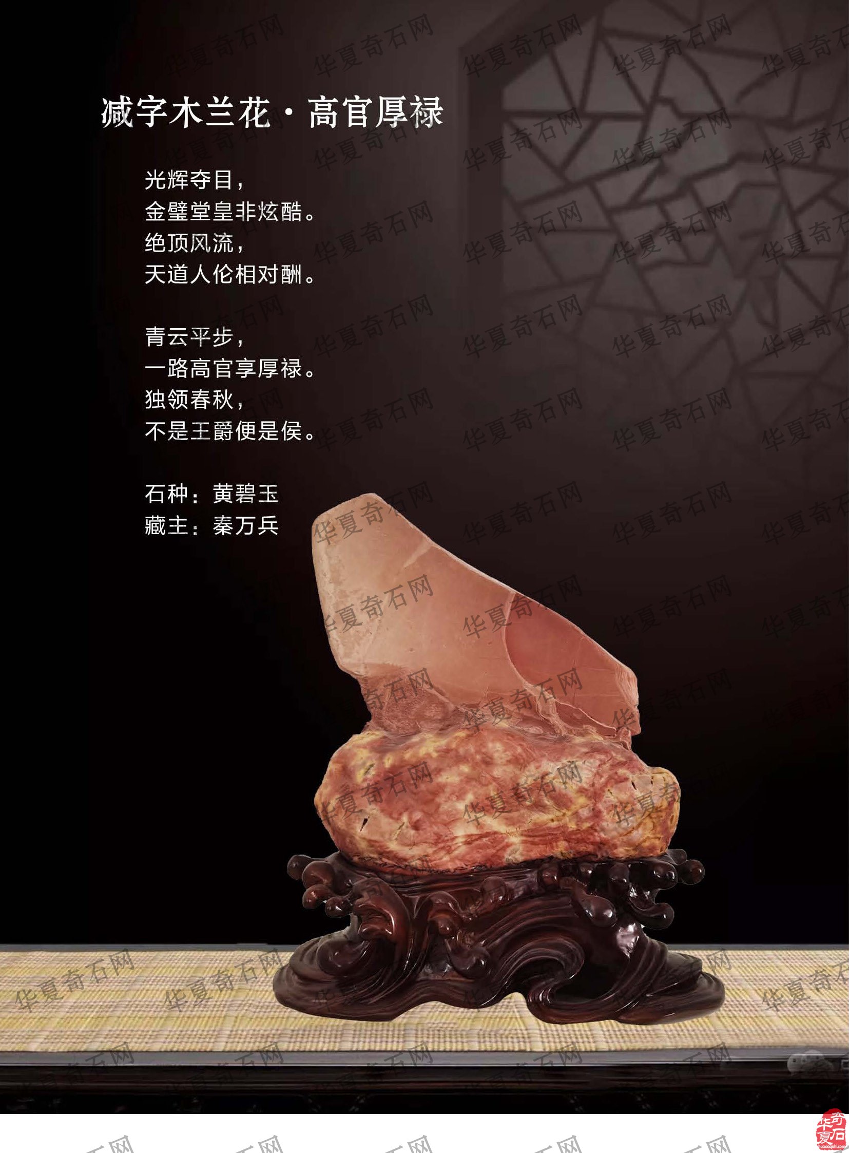看王沛老师在《于公赏石》怎么说赏石文化看酒泉