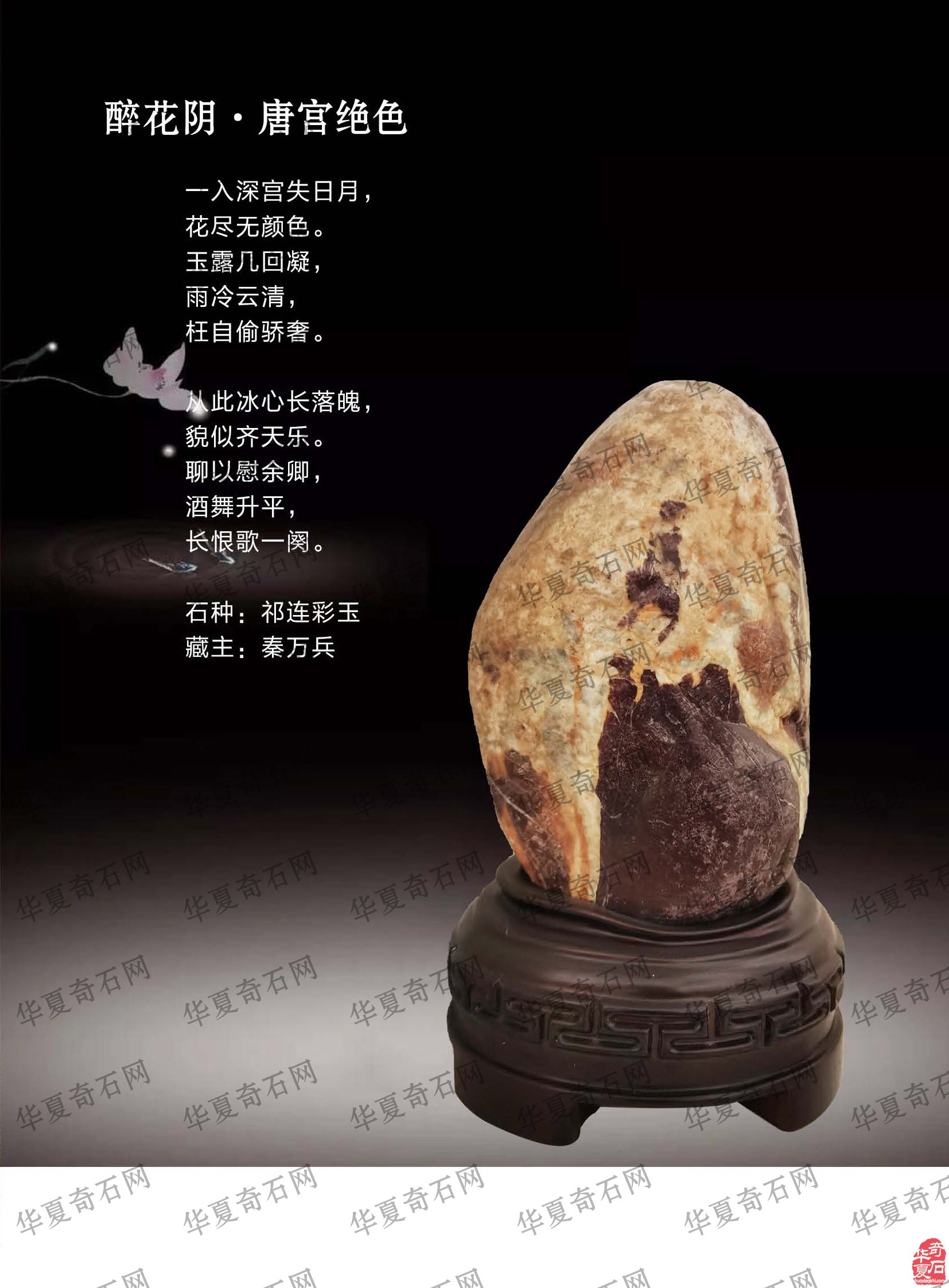 看王沛老师在《于公赏石》怎么说赏石文化看酒泉