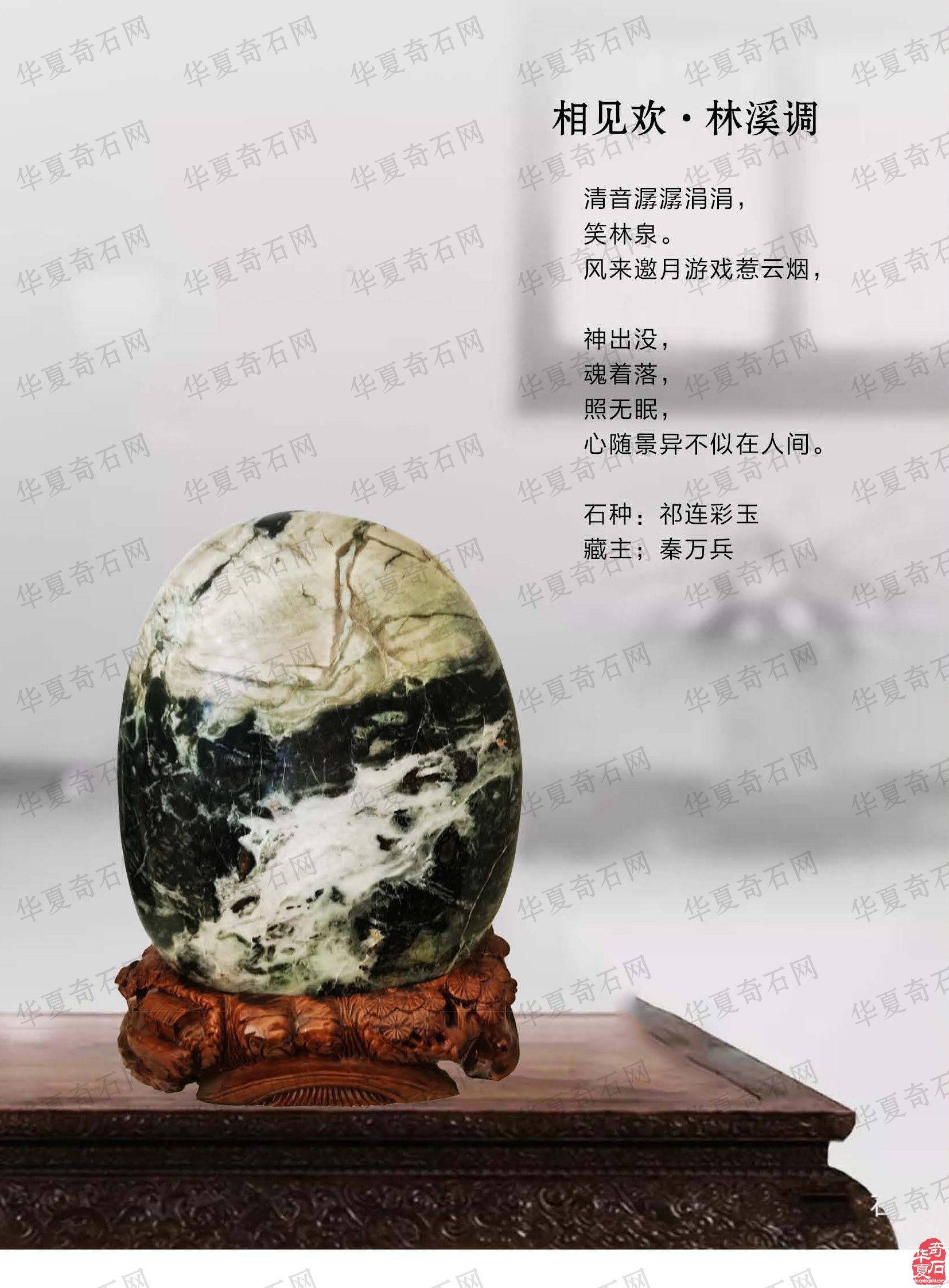 看王沛老师在《于公赏石》怎么说赏石文化看酒泉