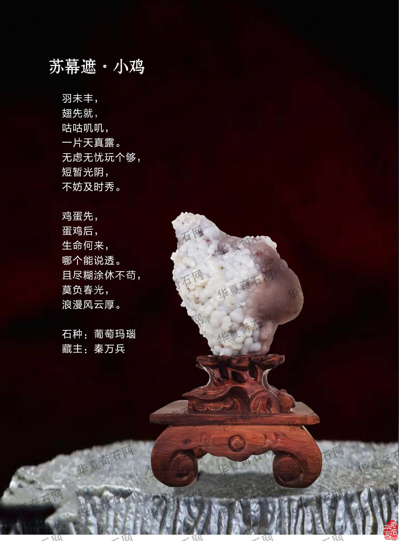 看王沛老师在《于公赏石》怎么说赏石文化看酒泉