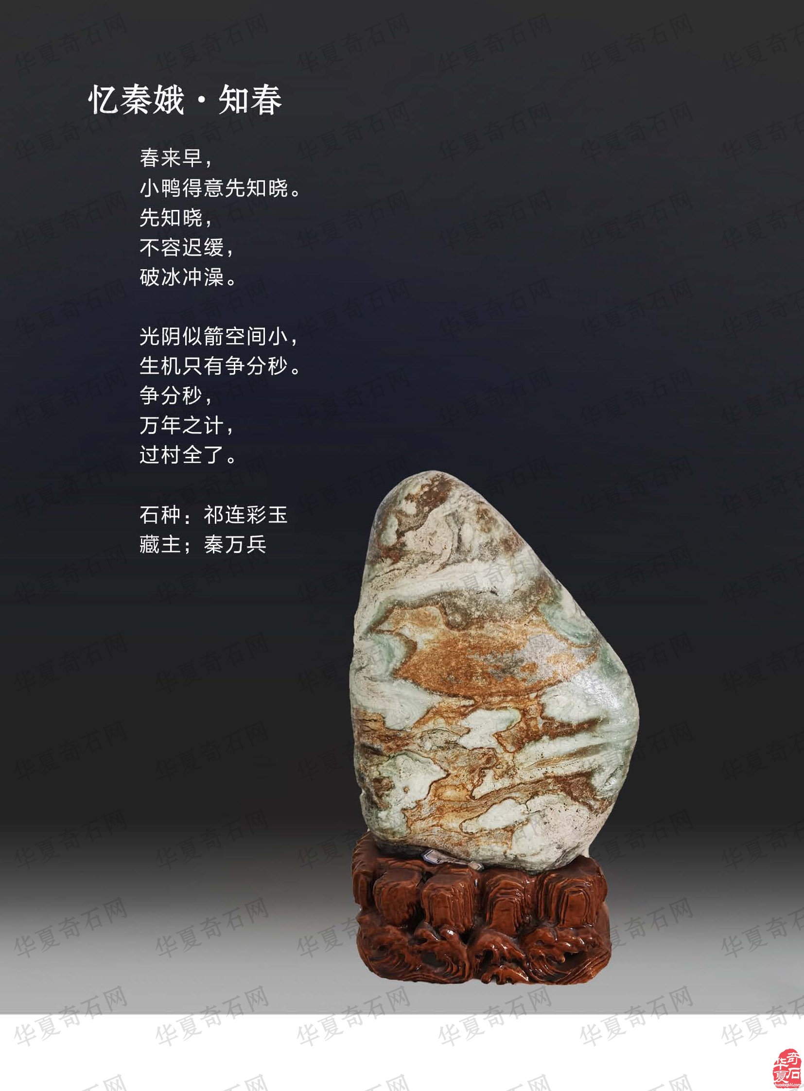 看王沛老师在《于公赏石》怎么说赏石文化看酒泉