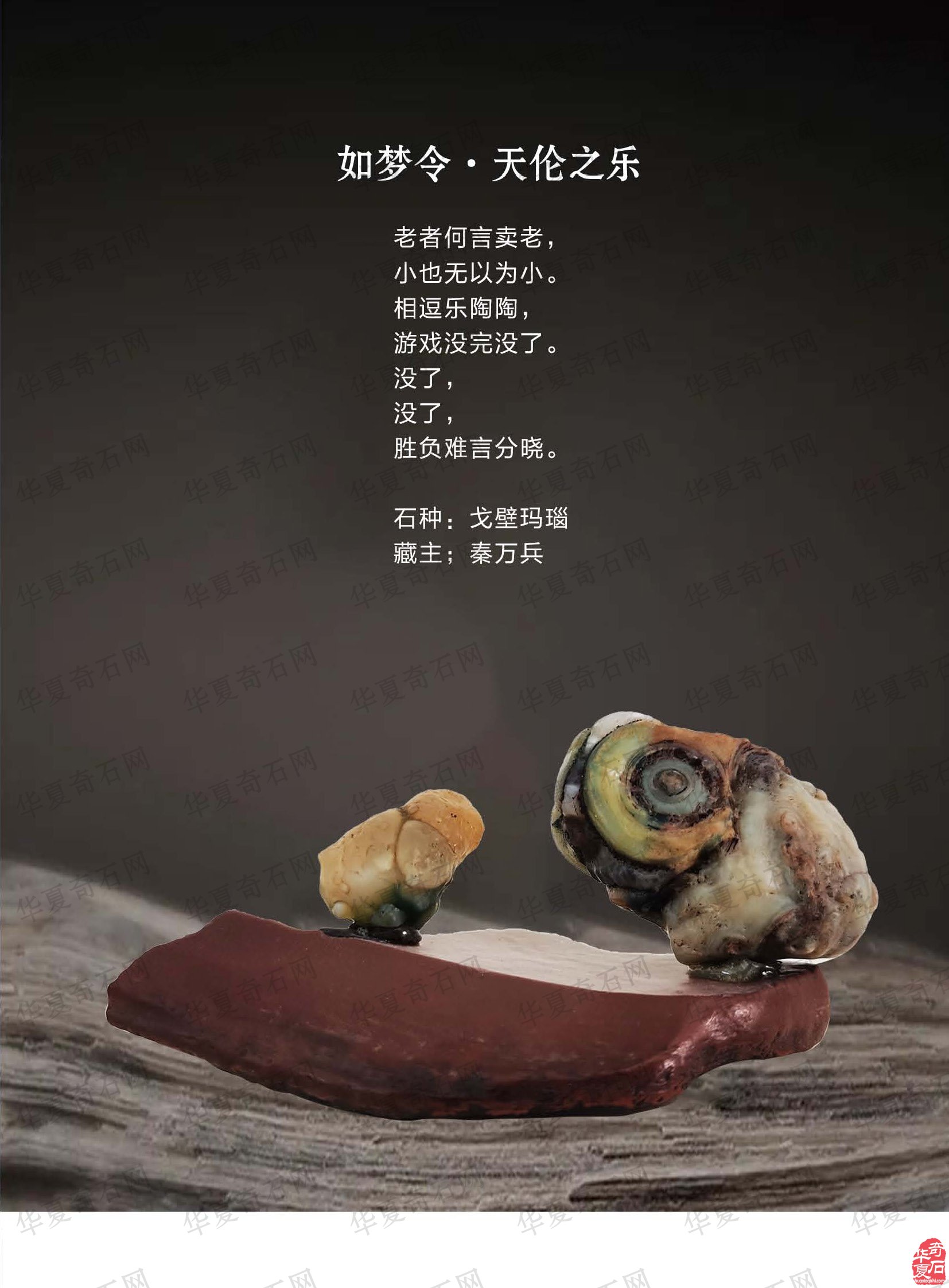 看王沛老师在《于公赏石》怎么说赏石文化看酒泉