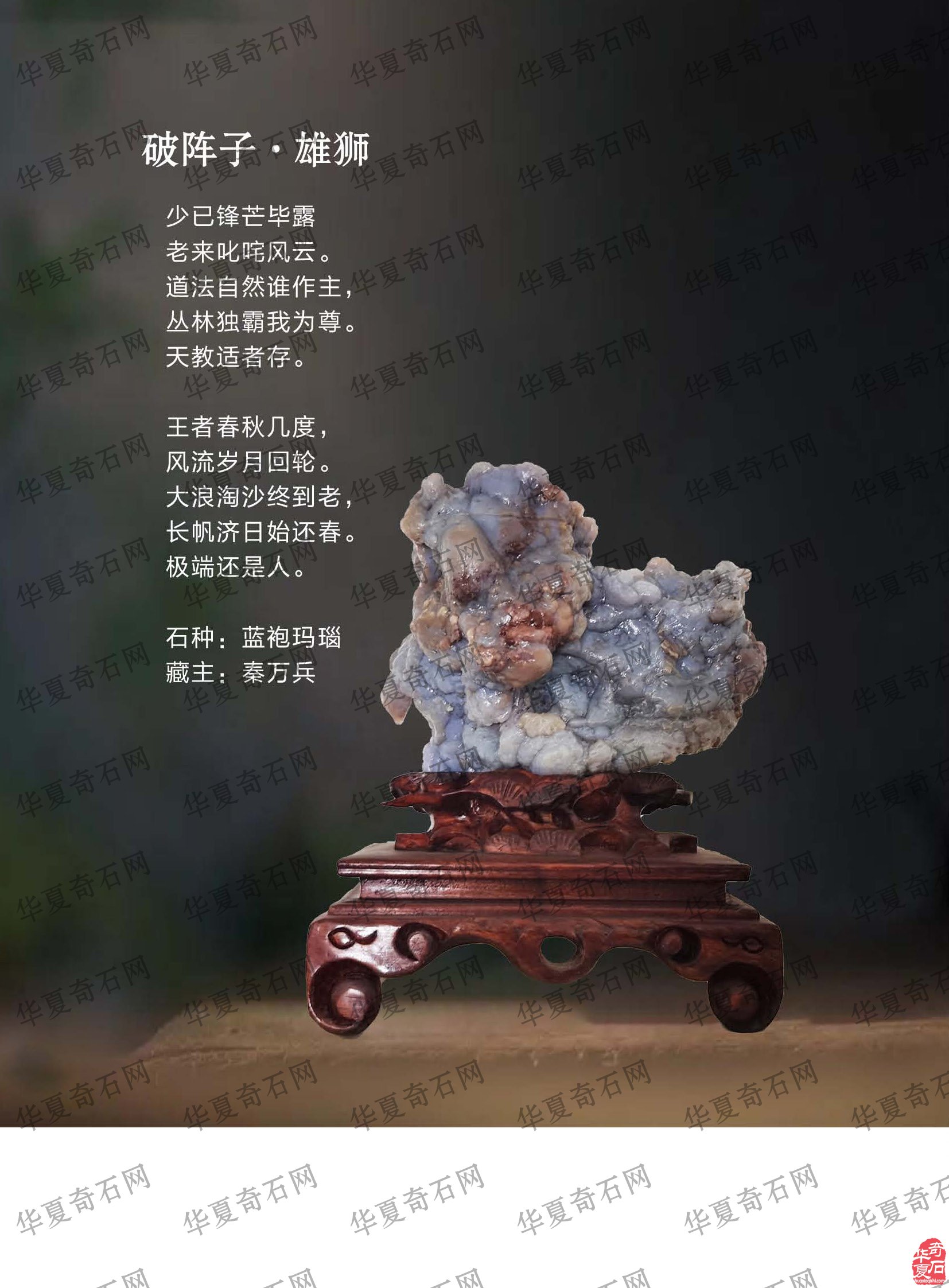 看王沛老师在《于公赏石》怎么说赏石文化看酒泉