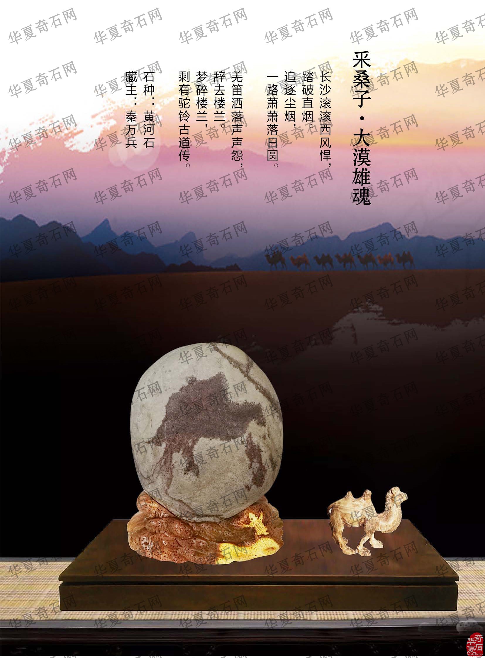 看王沛老师在《于公赏石》怎么说赏石文化看酒泉