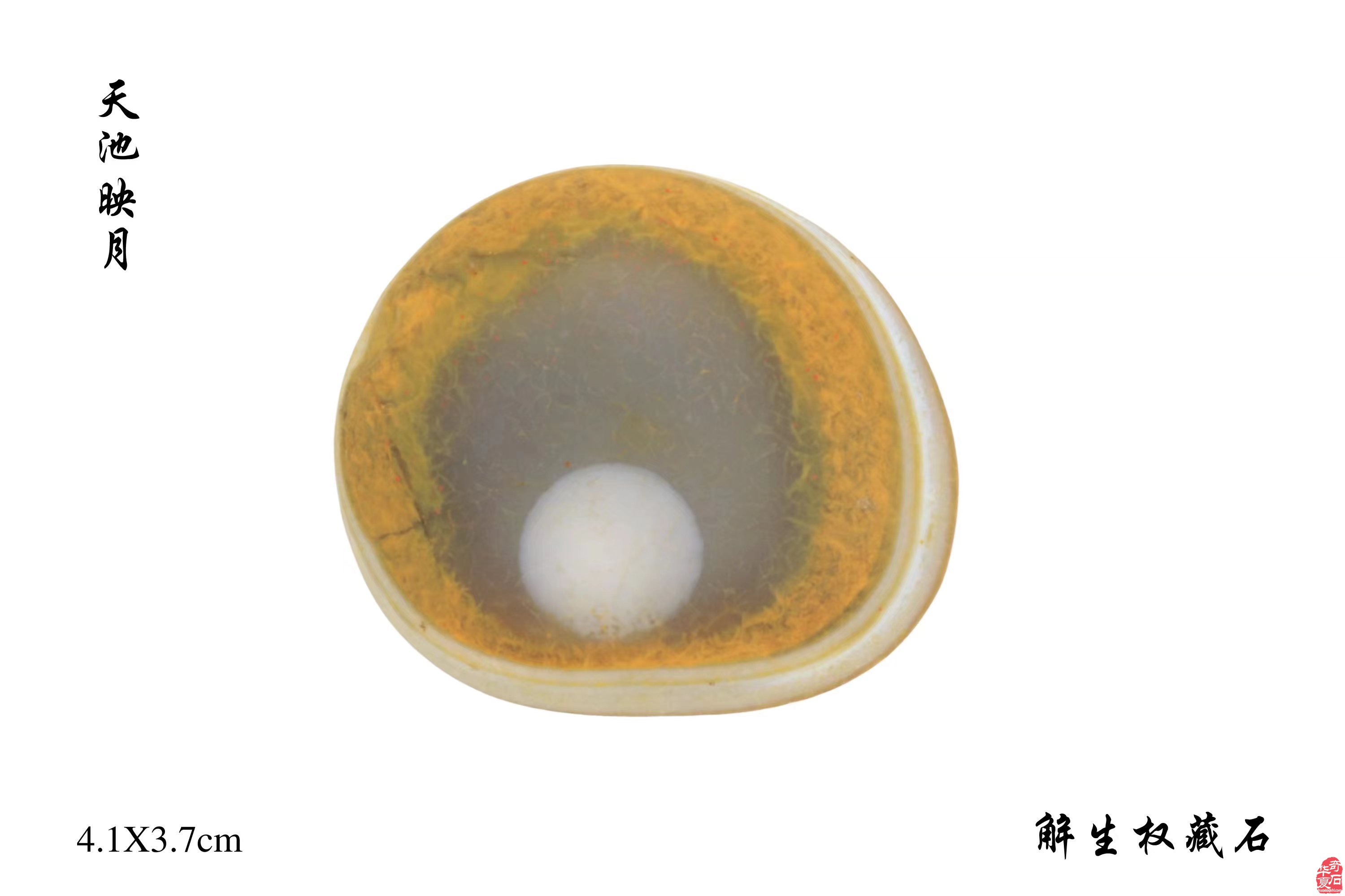 天池映月·中秋佳节赏美石