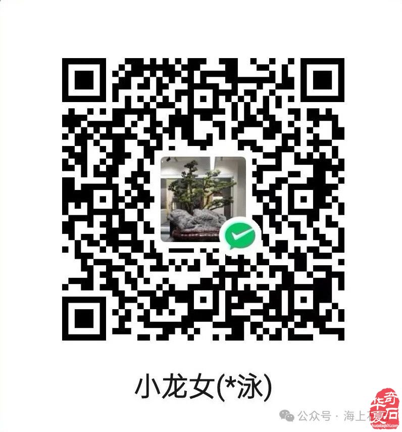 风从海上来 | 2024上海沪太赏石文化博览会