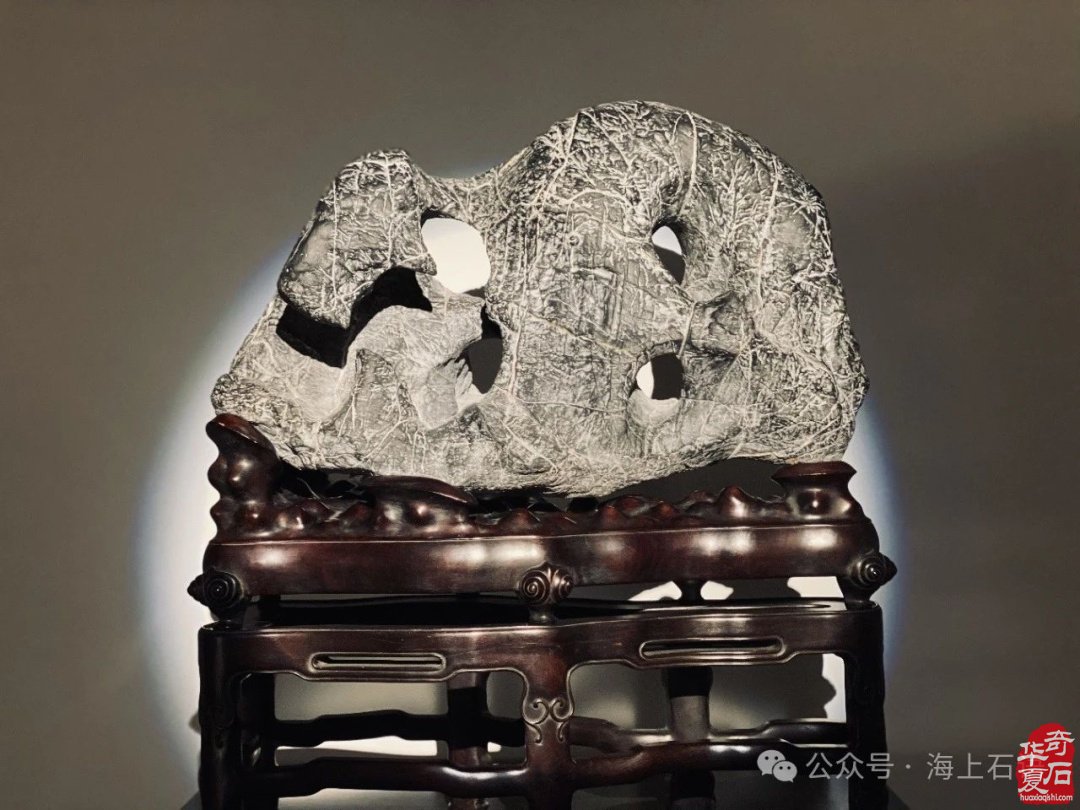 风从海上来 | 2024上海沪太赏石文化博览会