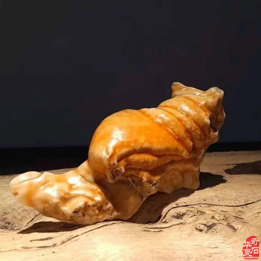 2024陈村名石展八大亮点燃爆赏石圈