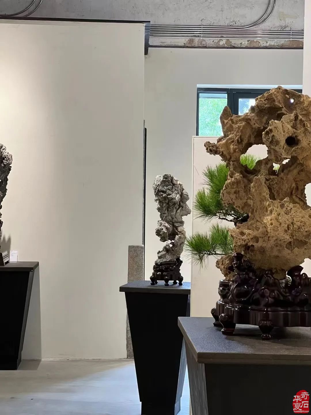 2024陈村名石展八大亮点燃爆赏石圈
