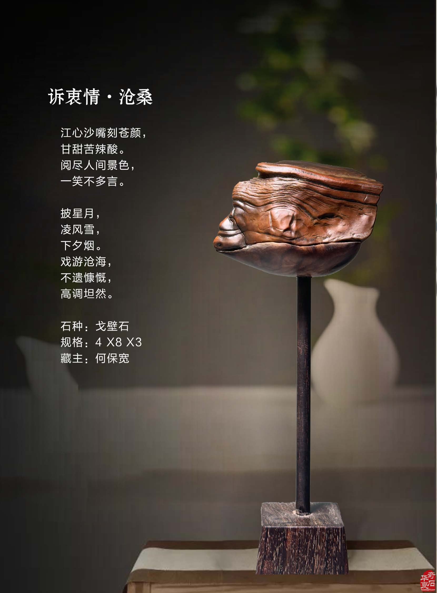 看《于公赏石》如何说石界大咖郑忠赏石