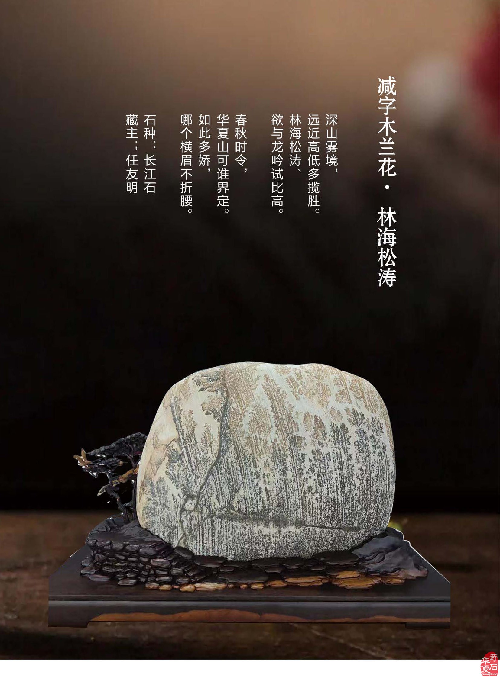 看《于公赏石》如何说石界大咖郑忠赏石