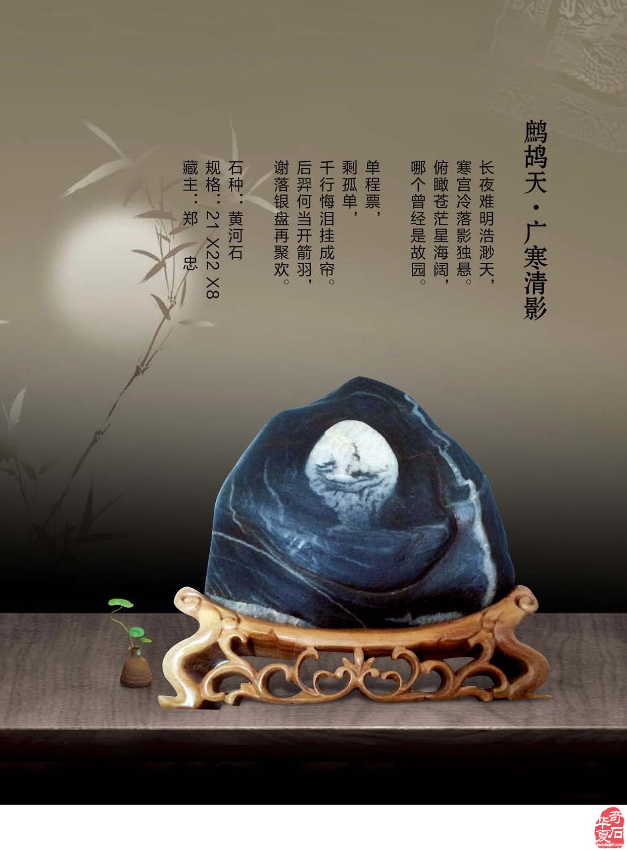 看《于公赏石》如何说石界大咖郑忠赏石