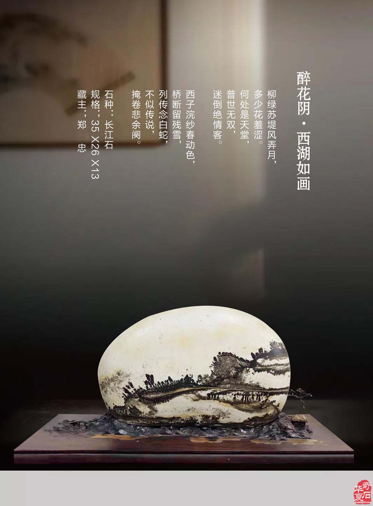 看《于公赏石》如何说石界大咖郑忠赏石