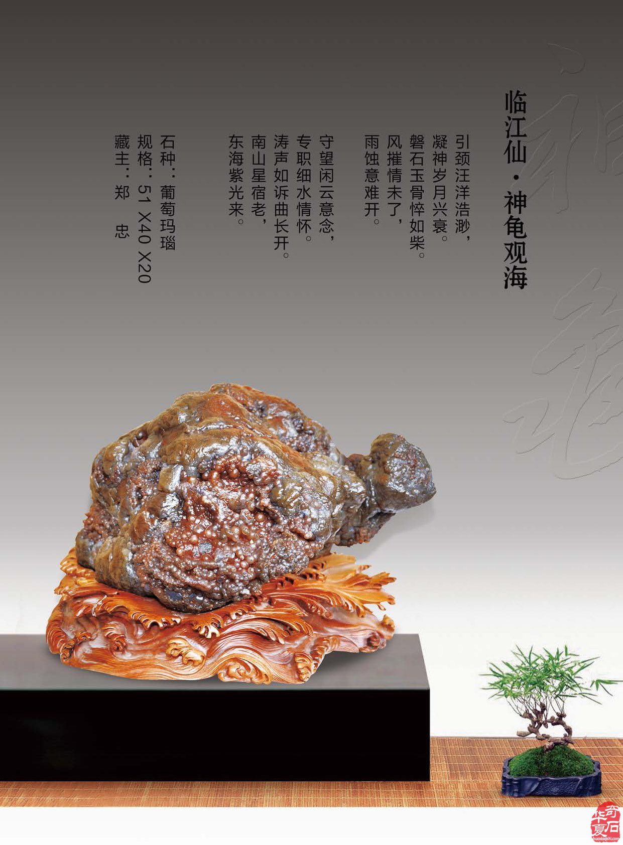 看《于公赏石》如何说石界大咖郑忠赏石