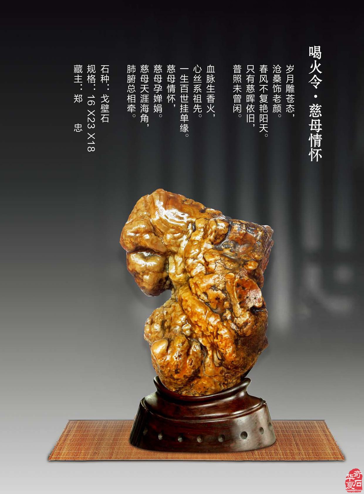 看《于公赏石》如何说石界大咖郑忠赏石