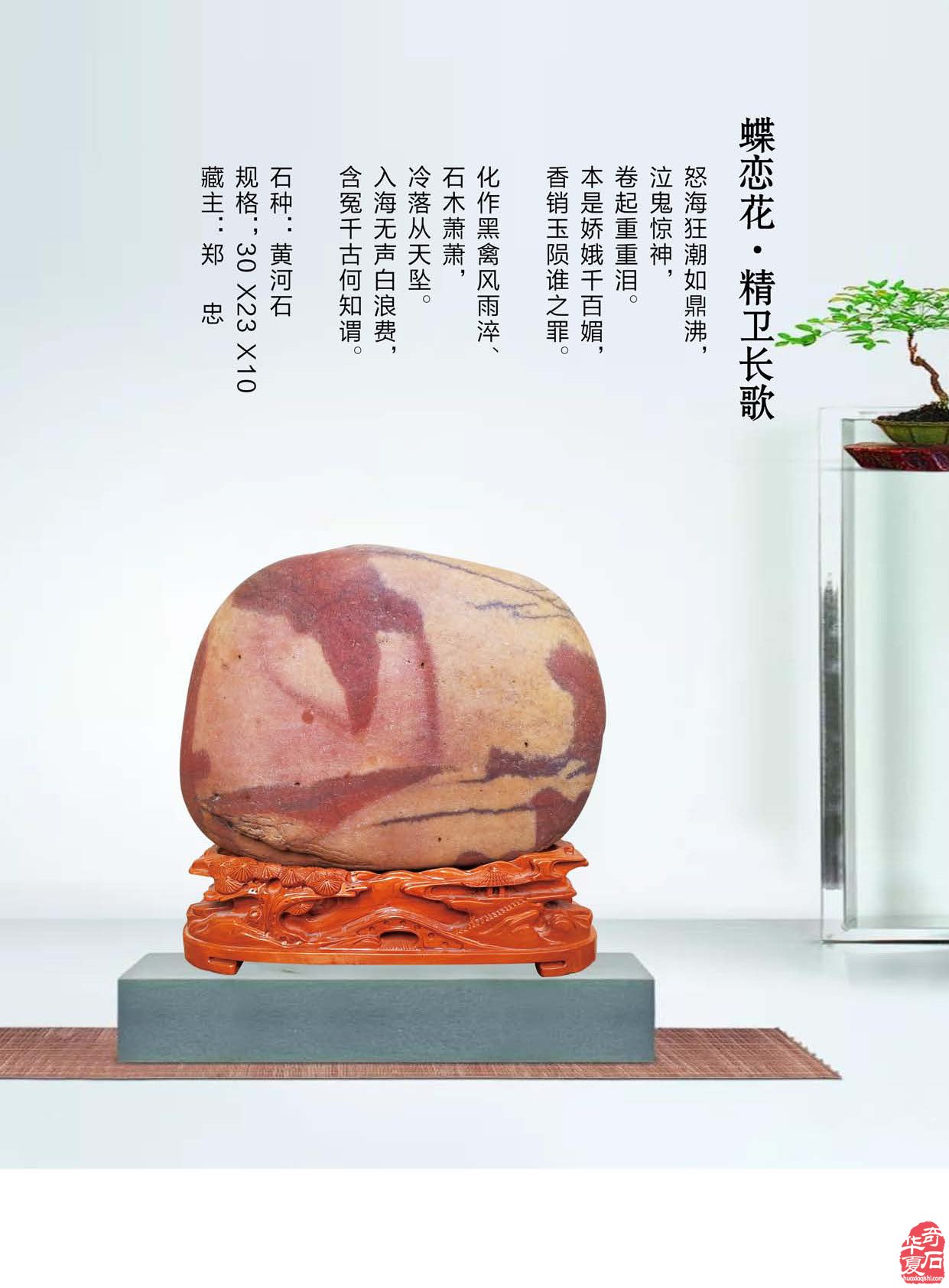 看《于公赏石》如何说石界大咖郑忠赏石