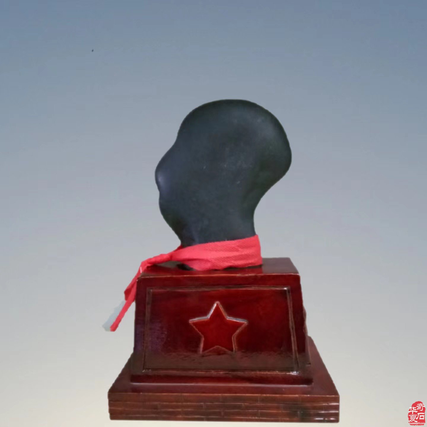 “伟人”奇石奇遇记 组图