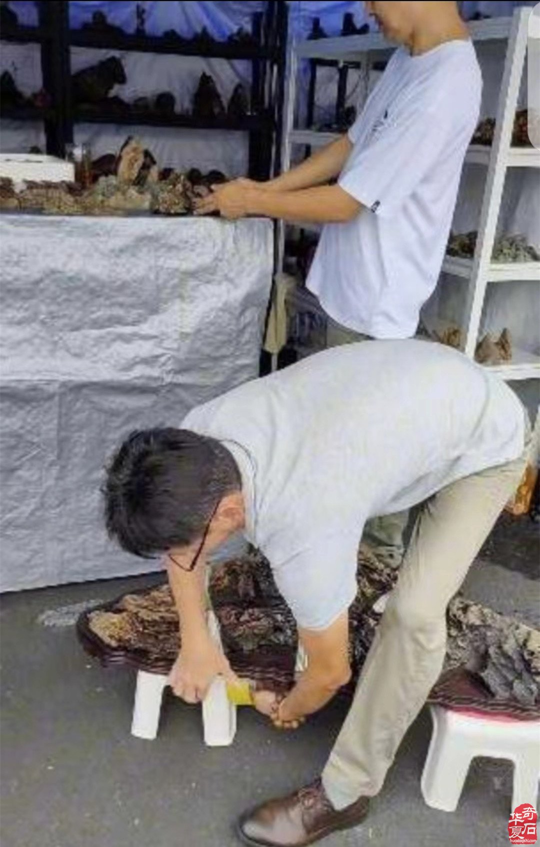延安石展风雨兼程的赏石人来了