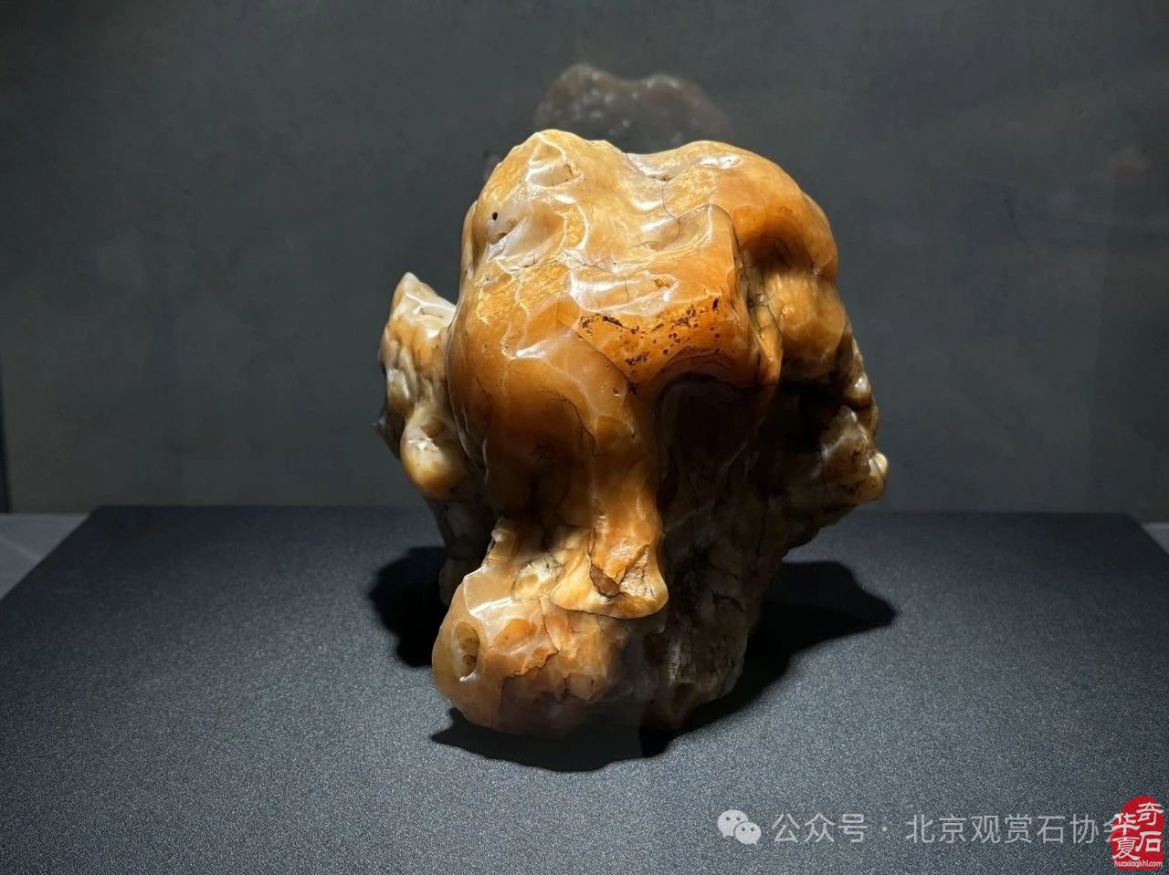 延安首届观赏石·珠宝玉石文化旅游节特金奖