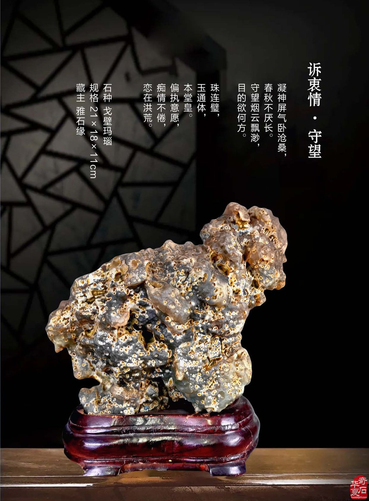 登录《于公赏石》赏美石逛展会