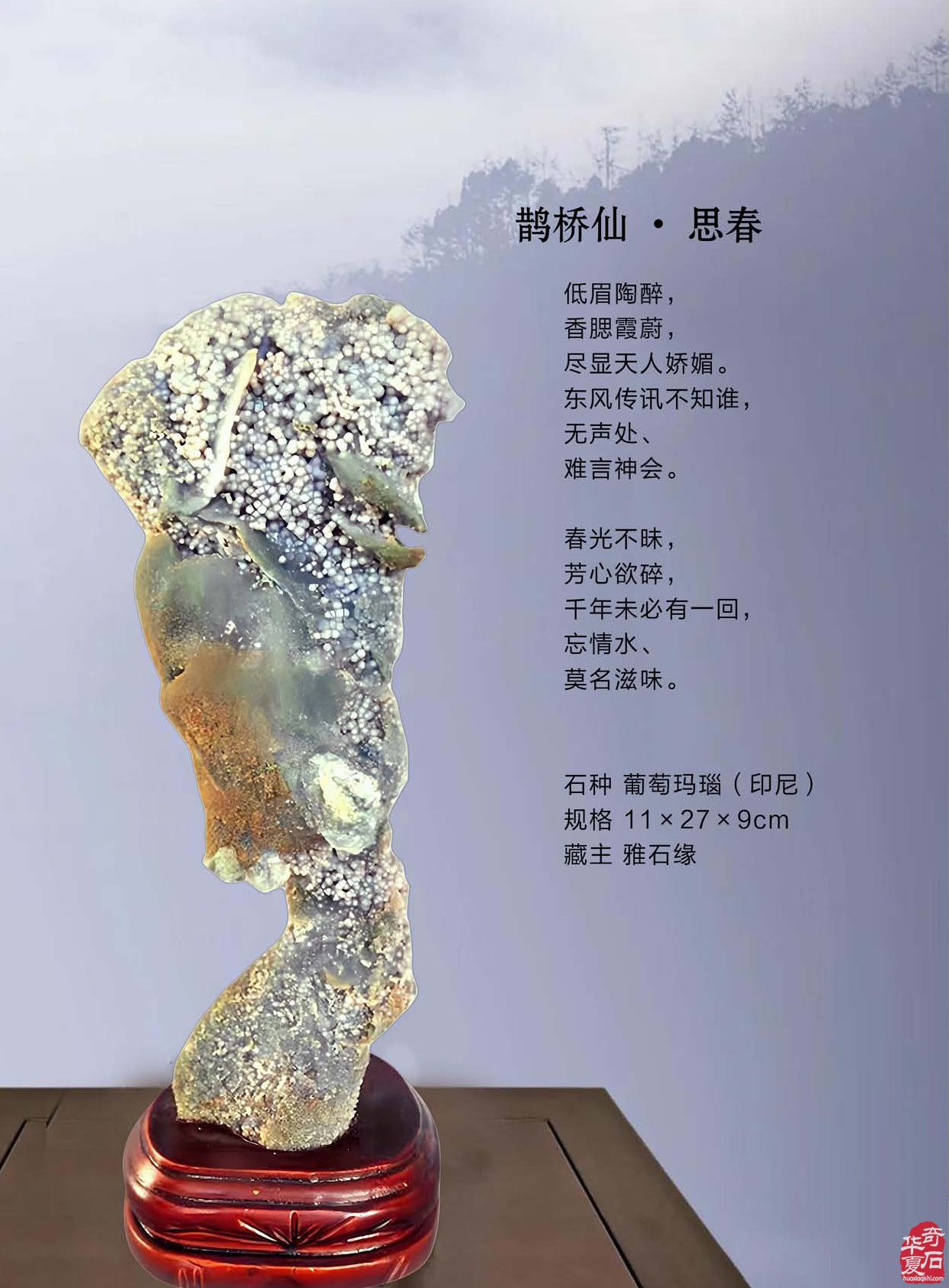 登录《于公赏石》赏美石逛展会