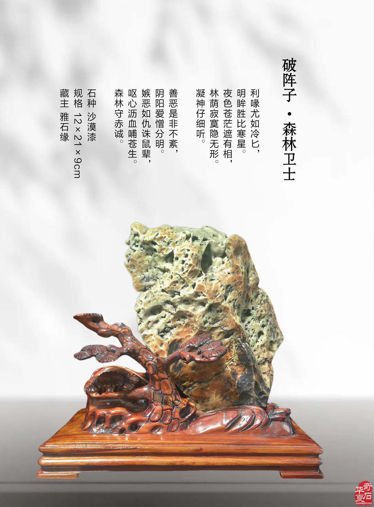 登录《于公赏石》赏美石逛展会