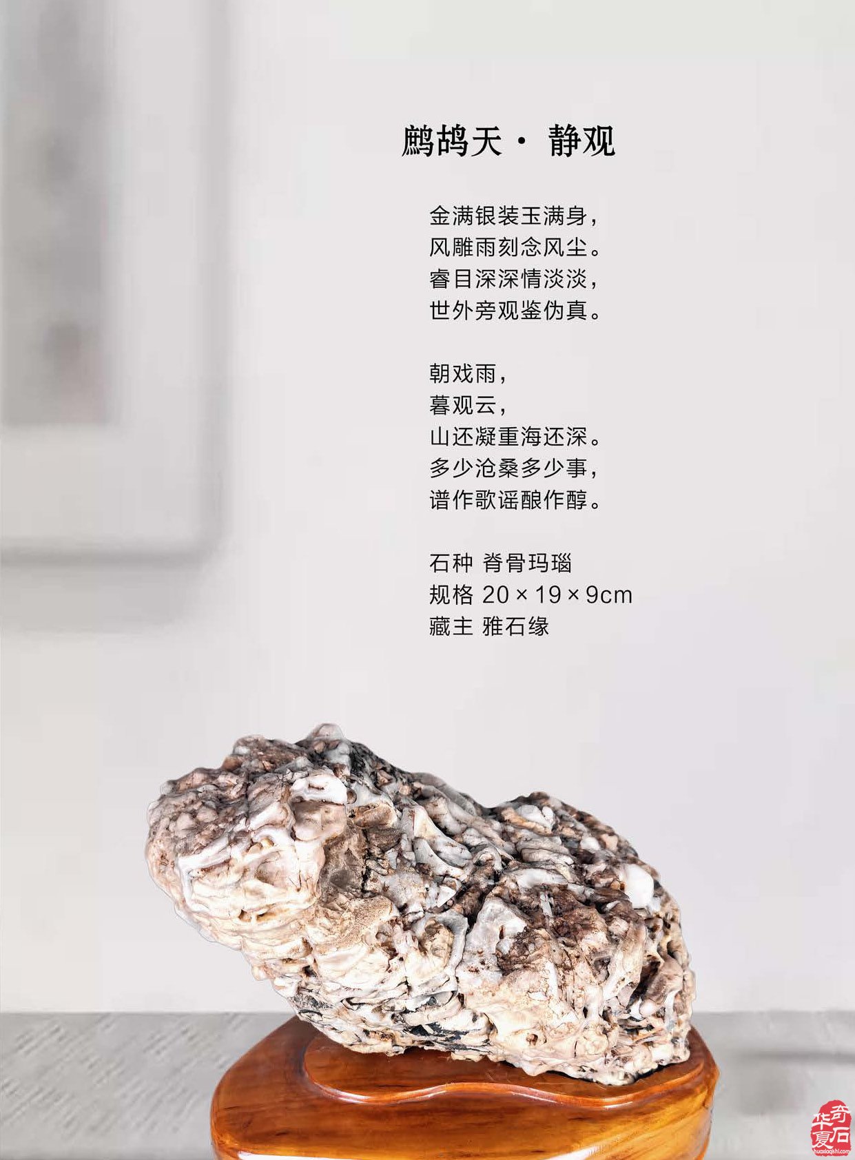 登录《于公赏石》赏美石逛展会