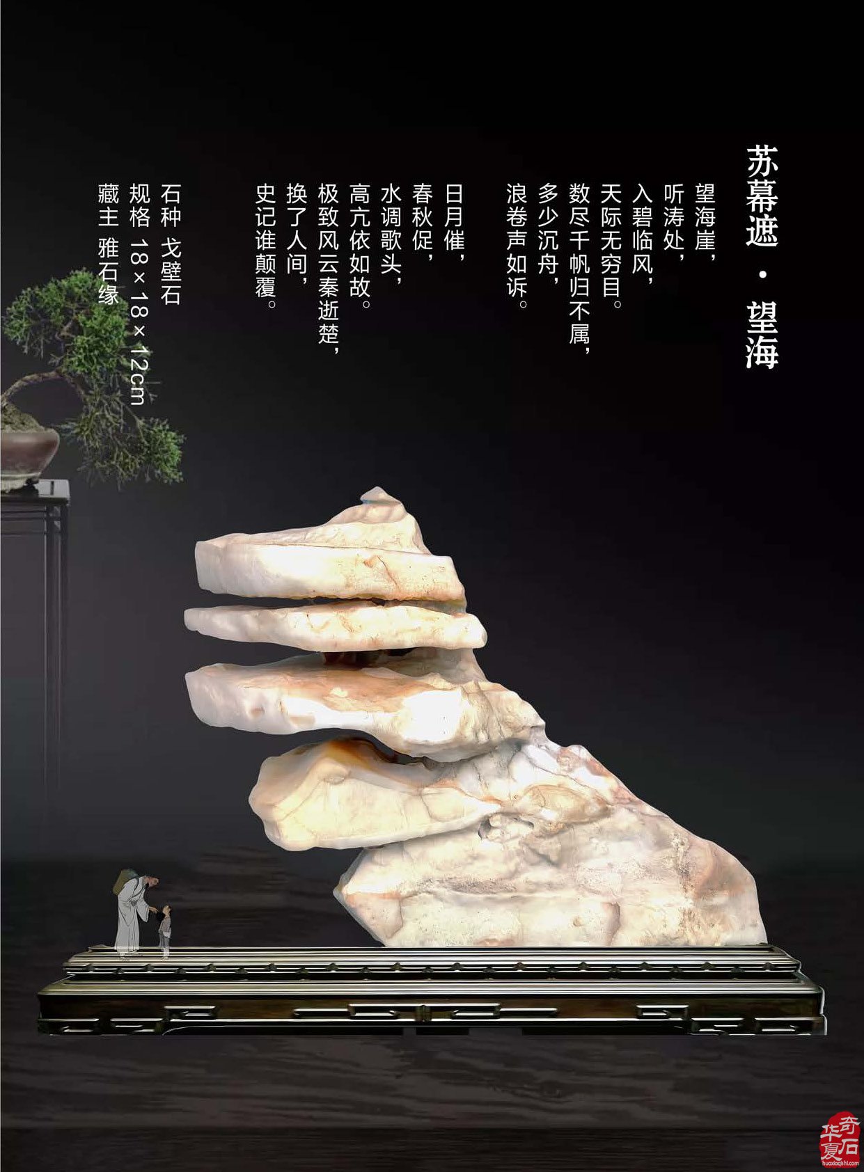 登录《于公赏石》赏美石逛展会