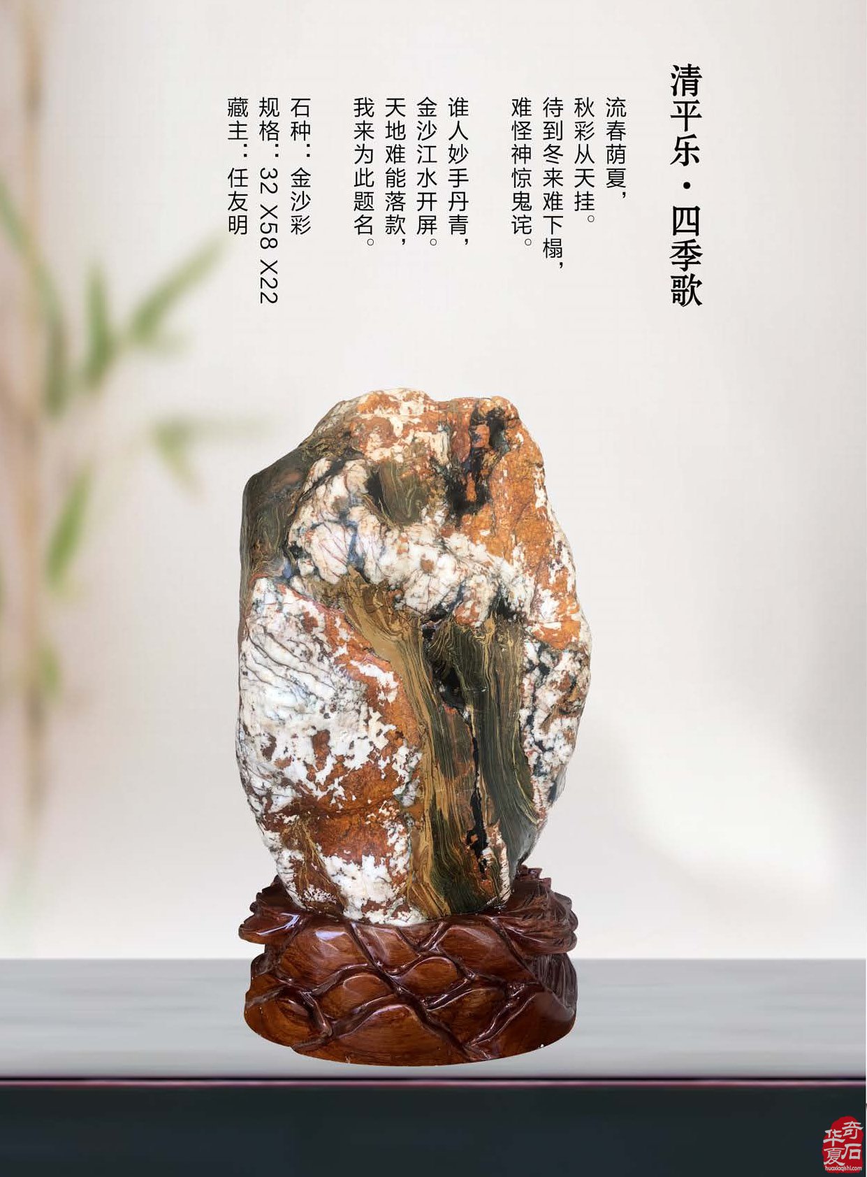 登录《于公赏石》赏美石逛展会